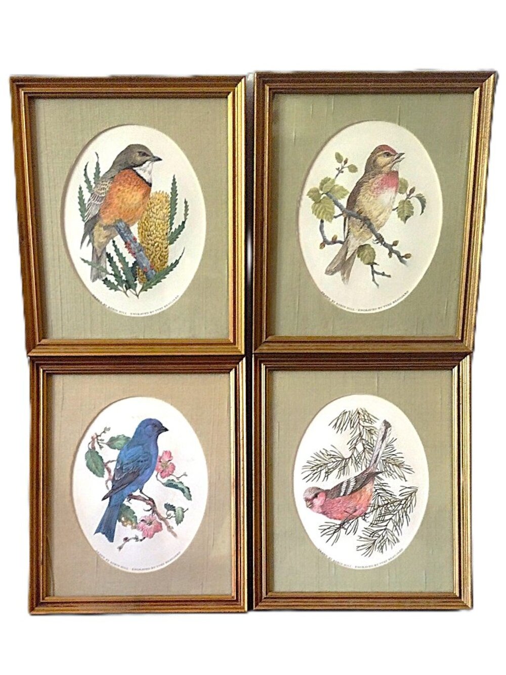 Set 4 Robin Hill Song Bird Prints ~ Engraved By Yves Beaujard Framed 8 x 7 "